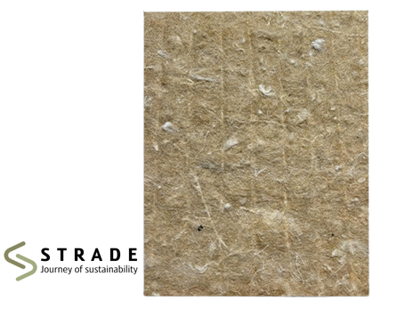 Eco-P Uygulama Görseli